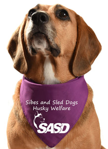 sibes and sled dogs husky welfare fundraising dog bandana