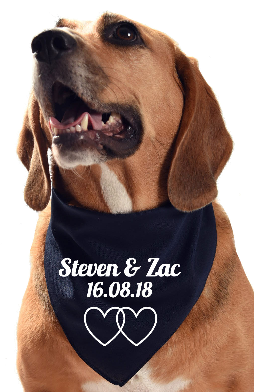 customised wedding / civil ceremony dog bandana